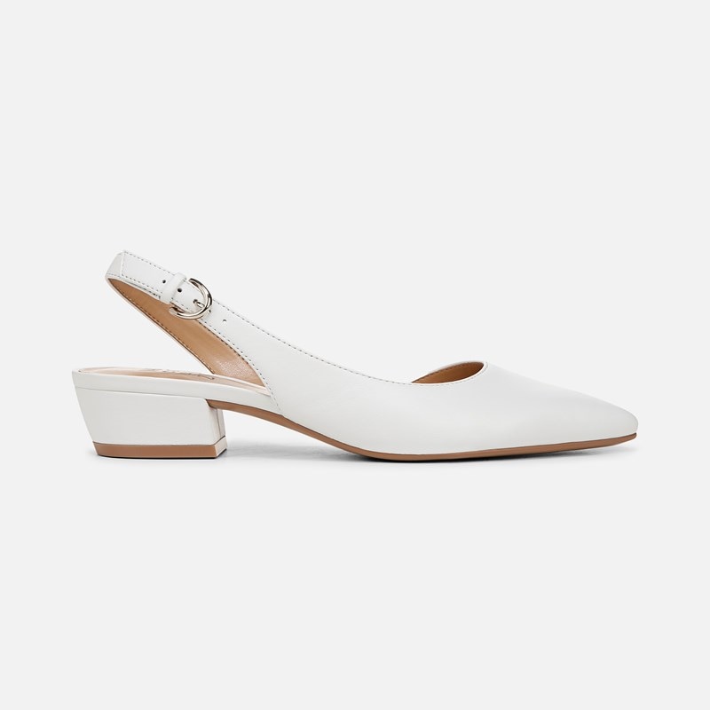Banks Pointed Toe Flat