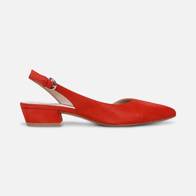 Banks Pointed Toe Flat