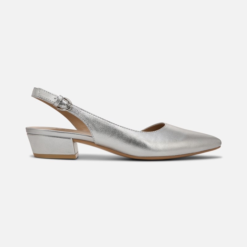 Banks Pointed Toe Flat