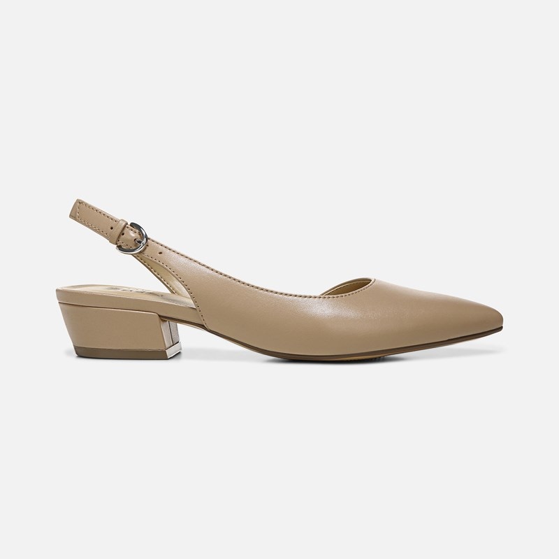 Banks Pointed Toe Flat