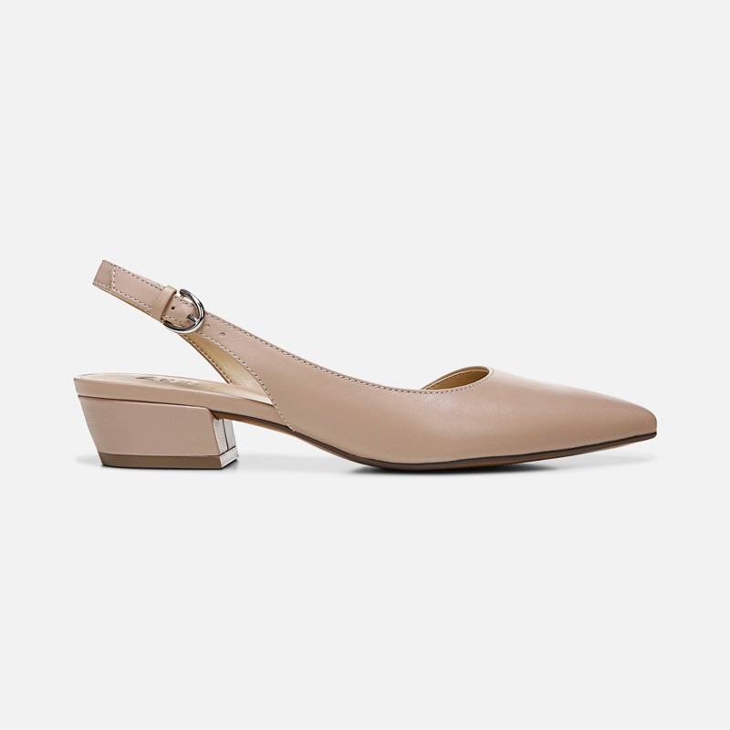 Banks Pointed Toe Flat