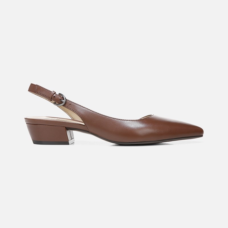 Banks Pointed Toe Flat