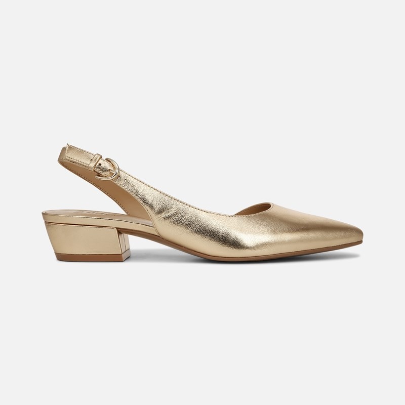 Banks Pointed Toe Flat